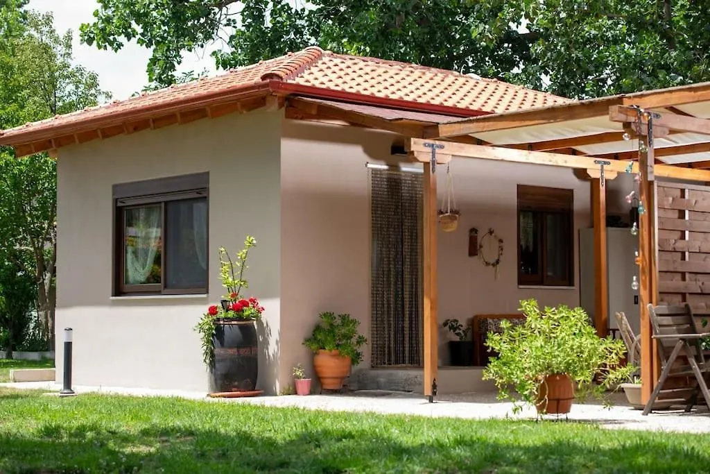Nerium - Golden Fig Sykia Lodge Paralia Sikias